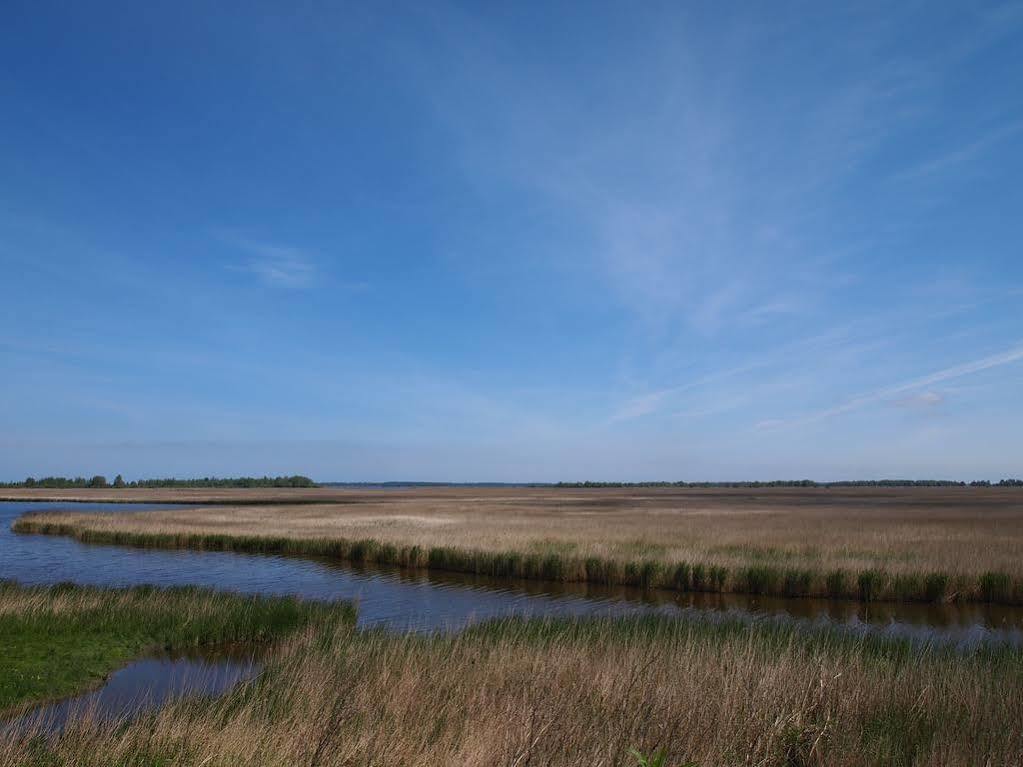 Bed and Breakfast De Energiek Wehe-den Hoorn Exteriér fotografie